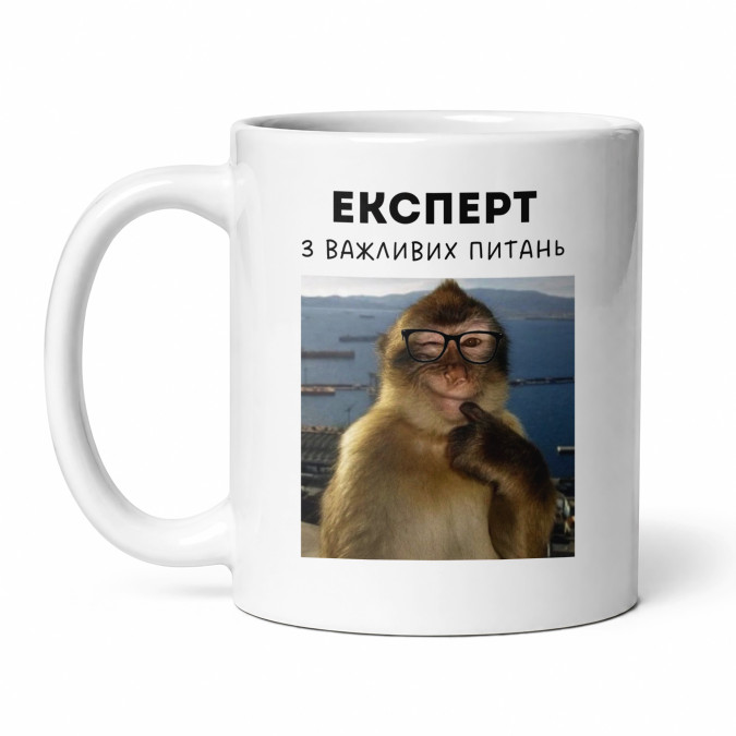 Чашка "Експерт з важливих питань" 330 мл Кіт.Дарує