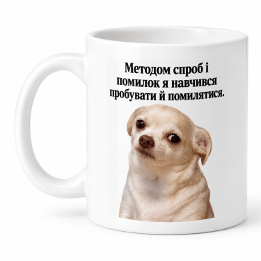 Чашка "Методом спроб і помилок" 330 мл Кіт.Дарує
