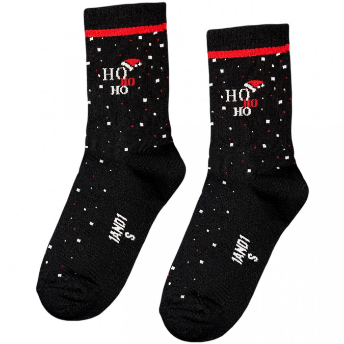 Шкарпетки чорні теплі "HoHoHo Hat" з махрою на стопі 1and1