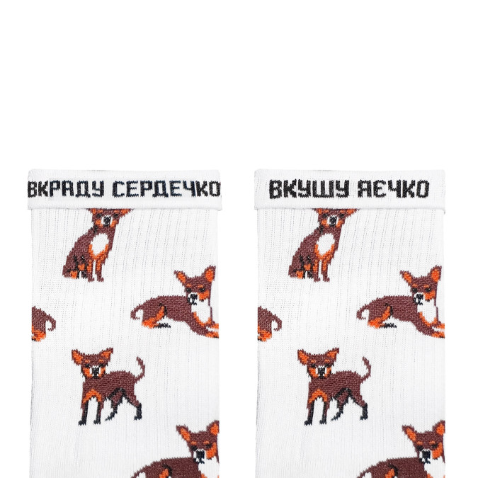 Шкарпетки білі "Чихуахуа" NOSKAR