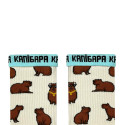 Носки молочные "Капибары с цепочкой" NOSKAR