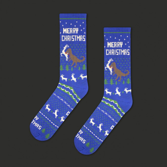 Шкарпетки сині "Merry Christmas Dino" CEH