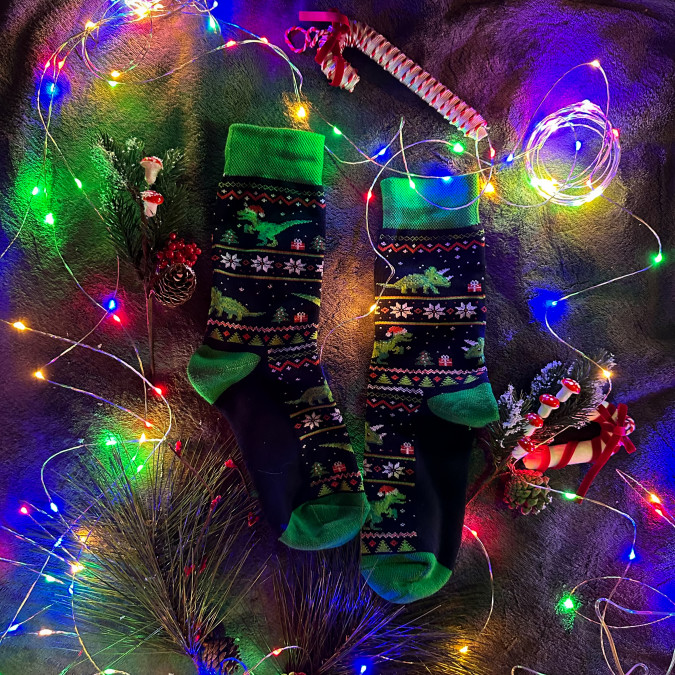 Шкарпетки темно-сині теплі "Dino Christmas" з махрою на стопі Sunny Focks